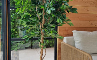Stijlvol groen in je tuinkamer met Kunstplant Ficus Groen 180.