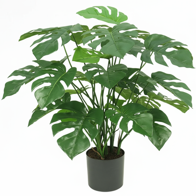 Kunst Monstera & Philo