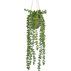 Kunst Hangplanten