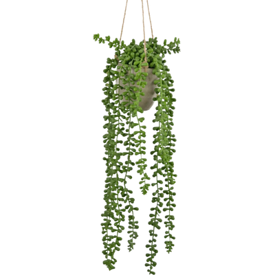 Kunst Hangplanten