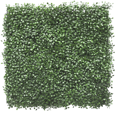 Kunsthaag Buxus