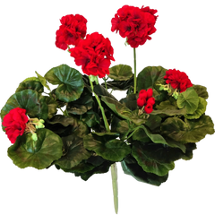 Kunst Geranium