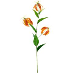 Kunst Gloriosa