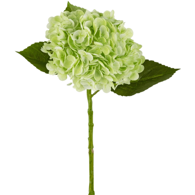 Kunst Hortensia