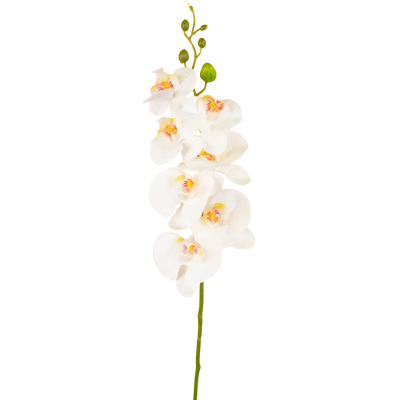 Kunst Orchidee