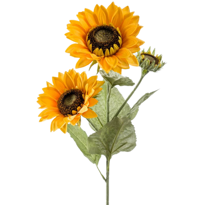 Kunst zonnebloemen