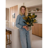 Een vrouw met krullend blond haar, gekleed in spijkerkleding, staat glimlachend in een moderne keuken met de Kunstplant Magnolia in een pot van 46 cm in haar handen, omringd door houten kasten en planken – een ideale keuze voor iedereen die op zoek is naar onderhoudsvriendelijke planten om zijn of haar stijlvolle interieur te verfraaien.