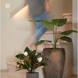 Een persoon loopt een houten trap op, langs twee potplanten: de ene is de Kunstplant Magnolia in een pot van 46 cm met grote groene bladeren, en de andere is een kleine, onderhoudsvriendelijke plant met witte bloemen. Beide staan aan de voet van de trap als stijlvolle interieurdecoratie.