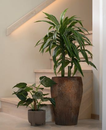 Een hoge Kunstplant Alocasia Cucullata UV 53 cm met hartvormige bladeren in een grote bruine pot met structuur en een kortere plant in een kleine grijze pot staan op een lichte houten trap tegen een neutrale beige muur en leuning.