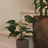 Een potplant met grote, hartvormige bladeren rust op een lichte houten vloer bij de trap. Ernaast staat de Kunstplant Alocasia Cucullata UV 53 cm in een pot met bruine structuur.
