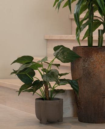 Een potplant met grote, hartvormige bladeren rust op een lichte houten vloer bij de trap. Ernaast staat de Kunstplant Alocasia Cucullata UV 53 cm in een pot met bruine structuur.