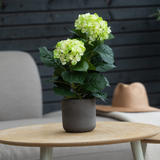 De Kunstplant Hortensia Groen UV 35 cm met lichtgroene bloemen staat op een ronde houten tafel. Daarachter staan een grijze stoel met kussens en een beige hoed op een lichte deken.