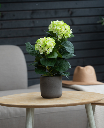 De Kunstplant Hortensia Groen UV 35 cm met lichtgroene bloemen staat op een ronde houten tafel. Daarachter staan een grijze stoel met kussens en een beige hoed op een lichte deken.