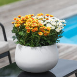 Een Kunstplant Daisy UV van 31 cm, met oranje, gele en witte madeliefjes in een witte pot, staat op een zwarte tafel naast een zwembad met een houten terras.