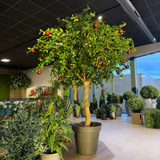 Kunstappelboom van 240 cm met levensechte rode appels in een bruine pot, omringd door diverse groene potplanten in een moderne, goed verlichte showroom met glazen deuren en ramen. Dit indrukwekkende kunstboom-interieurstuk geeft elke ruimte een levendige, natuurlijke uitstraling.