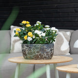 Een Kunstplant Patio-roos 35 cm crème UV staat op een houten tafel voor een grijze bank met kussens met patronen, tegen een achtergrond van donkerhouten wanden.