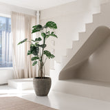 Minimalistische, zonovergoten kamer met grote ramen, een Kunstplant Monstera 210 cm, beige vloerkleed, unieke witte trap met een gewelfde nis eronder. Lichte gordijnen en een plantje op de vensterbank maken de serene ruimte compleet.