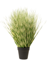 De Kunst Grasplant Zebra 55 cm heeft lange, dunne groene en witte bonte grasachtige bladeren in een eenvoudige zwarte pot, tegen een effen witte achtergrond.