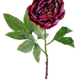 Een enkele steel van de kunstbloem „Kunstbloem Pioenroos 61 cm aubergine”, met diepauberginekleurige bloemblaadjes en gedetailleerde groene blaadjes, geïsoleerd tegen een witte achtergrond.