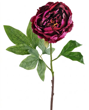 Een enkele steel van de kunstbloem „Kunstbloem Pioenroos 61 cm aubergine”, met diepauberginekleurige bloemblaadjes en gedetailleerde groene blaadjes, geïsoleerd tegen een witte achtergrond.
