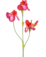 De Kunstbloem Iris 102 cm rood heeft een steel met drie levendige roze en rode bloemen met gele en witte accenten. De groene stelen en knoppen zijn zichtbaar tegen een effen witte achtergrond.