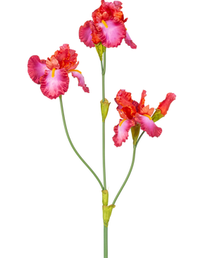De Kunstbloem Iris 102 cm rood heeft een steel met drie levendige roze en rode bloemen met gele en witte accenten. De groene stelen en knoppen zijn zichtbaar tegen een effen witte achtergrond.