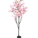 De Kunst Kersenbloesem 180 cm roze heeft roze bloesems en groene bladeren in een kleine zwarte pot, tegen een effen witte achtergrond.