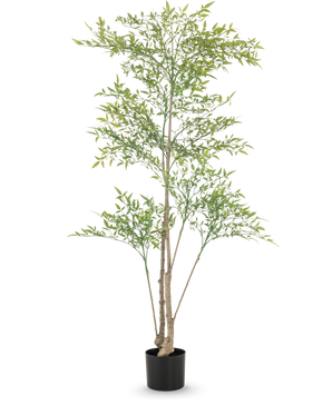 De Kunstplant Ruscus 150 cm heeft lange, dunne takken en lichtgroene bladeren in een zwarte pot tegen een witte achtergrond - ideaal als decoratief interieur voor elke ruimte.