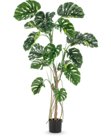 De Kunstplant Monstera 180 cm is een hoge kunstplant met grote, glanzende, gespleten groene bladeren in een kleine zwarte pot, afgebeeld tegen een effen witte achtergrond.