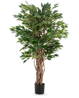 De Kunstplant Ficus Liana 120 cm heeft gevlochten bruine stammen en weelderige groene bladeren in een zwarte pot, waardoor het een elegante keuze is voor elke ficus collectie of kantoorplant display.
