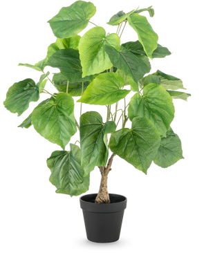 De Kunstplant Ficus 60 cm heeft grote, groene, hartvormige bladeren en een gestructureerde stam in een eenvoudige zwarte plastic pot, tegen een witte achtergrond.