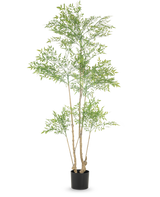 De Kunstplant Ruscus 180 cm is een hoge kunstplant met meerdere slanke stammen en overvloedige kleine groene bladeren, weergegeven in een eenvoudige zwarte pot tegen een witte achtergrond.