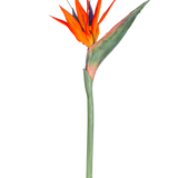 De Kunstbloem Strelitzia 86 cm rood/paars heeft levendige rode en paarse bloemblaadjes op een lange groene steel, gepresenteerd als een enkele, onderhoudsvrije kunstbloem geïsoleerd tegen een witte achtergrond.