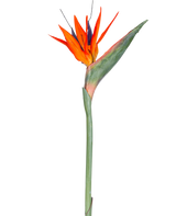 De Kunstbloem Strelitzia 86 cm rood/paars heeft levendige rode en paarse bloemblaadjes op een lange groene steel, gepresenteerd als een enkele, onderhoudsvrije kunstbloem geïsoleerd tegen een witte achtergrond.