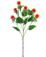 De Kunstbloem Saffloer 79 cm oranje heeft een enkele steel met meerdere takken, elk met piekerige oranjerode en gele bloemen met groene bladeren, tegen een witte achtergrond.
