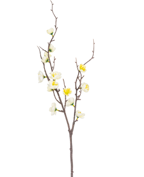 De Kunsttak Prunus 78 cm wit heeft een enkele bruine tak met meerdere uitlopers, versierd met kleine witte en gele bloemen, tegen een effen witte achtergrond.