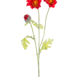 De Kunstbloem Klaproos 73 cm rood heeft een enkele groene stengel met twee open rode klaproosbloemen, een gedeeltelijk gesloten rode knop en lichtgroene bladeren, allemaal tegen een effen witte achtergrond.