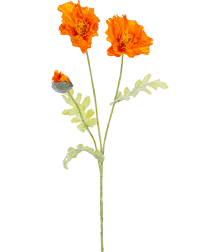 Een botanische illustratie van de Kunstbloem klaproos 73 cm oranje toont twee open oranje bloemen en een gesloten knop op lange groene stelen met lichtgroene, diep gelobde bladeren.