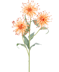 Kunstbloem Scabiosa Japonica 70 cm perzik