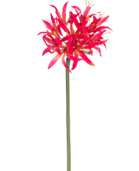 Kunstbloem Nerine 70 cm fuchsia