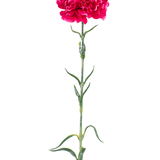 De Kunstbloem Anjer 69 cm hardroze heeft een enkele felroze anjer met ruches in de bloemblaadjes, een lange groene steel en slanke bladeren tegen een effen witte achtergrond.