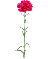 De Kunstbloem Anjer 69 cm hardroze heeft een enkele felroze anjer met ruches in de bloemblaadjes, een lange groene steel en slanke bladeren tegen een effen witte achtergrond.