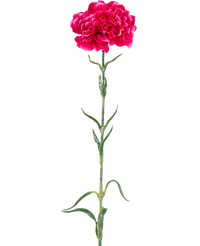 Kunstbloem Anjer 69 cm hardroze