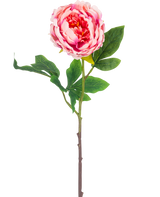 De Kunstbloem Pioenroos 61 cm roze heeft een enkele roze pioenroos met weelderige groene bladeren en een lange bruine steel, geïsoleerd op een witte achtergrond.