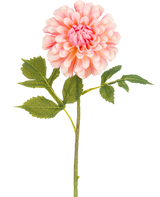 De Kunstbloem Dahlia 50 cm roze is een enkele roze kunstdahlia met gelaagde bloemblaadjes en een groene steel met drie sets gekartelde bladeren, tegen een witte achtergrond.