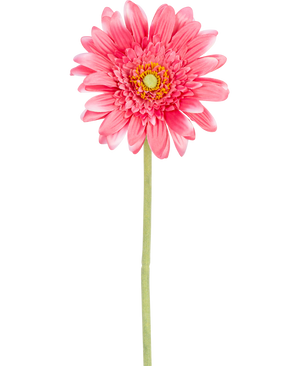 Een Kunstbloem Gerbera 55 cm roze, met een gele kern en groen staal, geïsoleerd op een witte achtergrond.