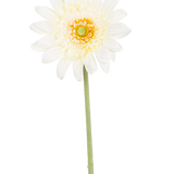 De Kunstbloem Gerbera 53 cm wit heeft een enkele witte, margrietachtige bloem met gelaagde bloemblaadjes, een geelgroen hart en een lange groene steel tegen een witte achtergrond.
