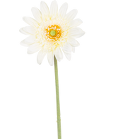De Kunstbloem Gerbera 53 cm wit heeft een enkele witte, margrietachtige bloem met gelaagde bloemblaadjes, een geelgroen hart en een lange groene steel tegen een witte achtergrond.