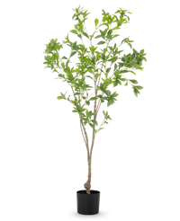 Kunstplant Pieris Japonica 150 cm
