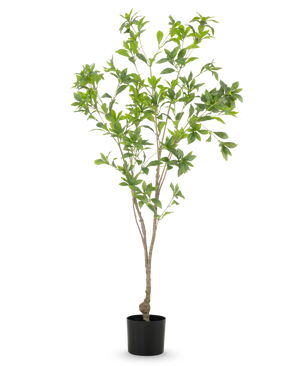De Kunstplant Pieris Japonica 150 cm heeft slanke takken en overvloedige groene bladeren in een eenvoudige zwarte pot, tegen een witte achtergrond.